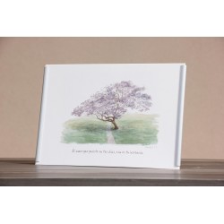 Repr. -El amor que pusiste en tus dias... Acua-0029