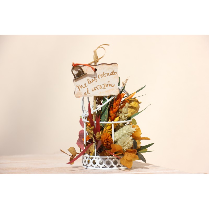 Jaula: Me has robado el corazón FL164 · REG1517