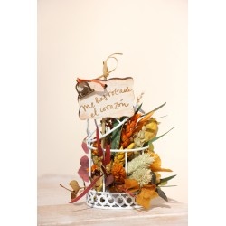 Jaula: Me has robado el corazón FL164 · REG1517