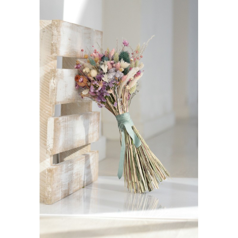 Anastasia Ramo. BBC008