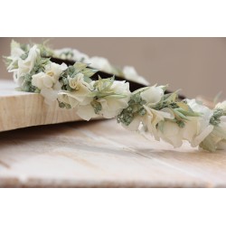 Flavia Corona-diadema. BBC047 · FLOR5009