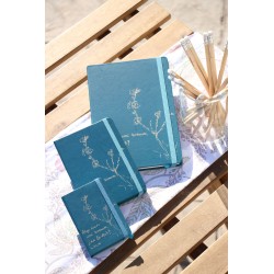 203-ALGO NUEVO ESTÁ BROTANDO. A6 polipiel-Azul antracita. ALG-102-AZa · PAP203