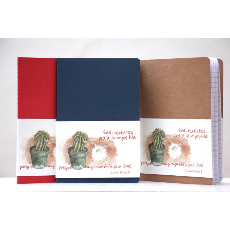 313-SED REALISTAS, PEDID LO IMPOSIBLE ACUARELA A5 kraft cosido- finito-Azul - REA-506-AZU · PAP313