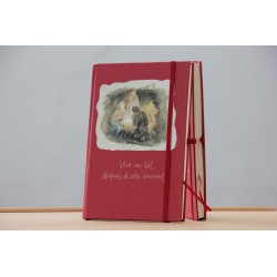 902-NAVIDAD. Vivo con sol después de este encuentro NAV-6-211-ROJ · PAP902