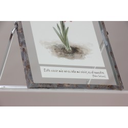 Marco: Este vivir mío, no es sólo mi vivir, es el nuestro - MK0108 · ARTE1005