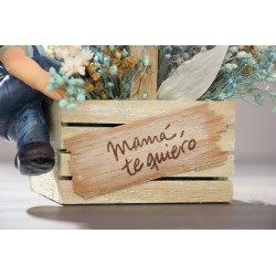 Mamá, te quiero K111 · REG111