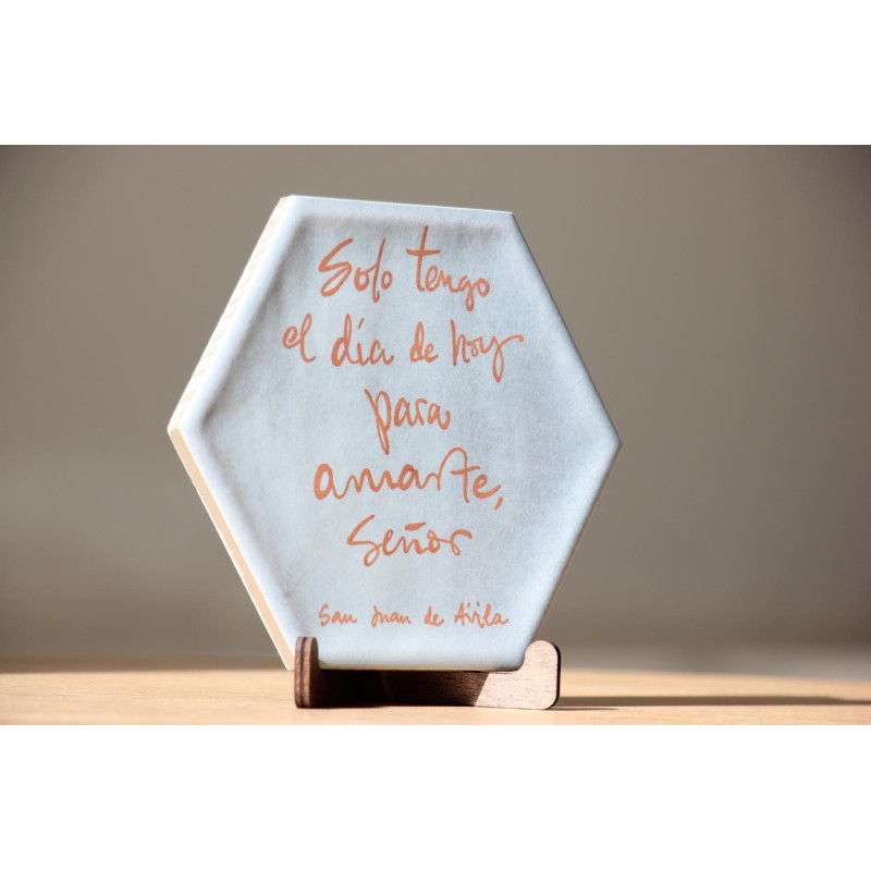 Azulejo: Sólo tengo el día de hoy para amarte (Agua mate). AZU3102 · ARTE3102