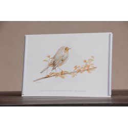 Repr. -Cada instante es un milagro en espera del siguiente Acua-0019