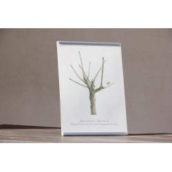 Repr. -¿Dónde me quieres, Señor, llevar...? - Acua-0008