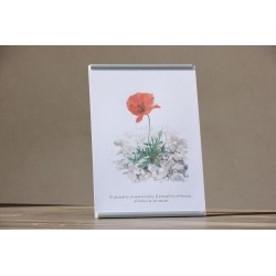 Repr. -El pasado en su misericordia... Acua-0013