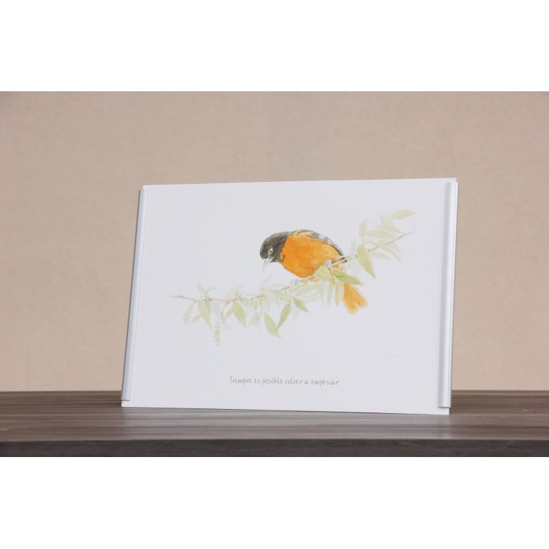 Repr. -Siempre es posible volver a empezar Acua-0020